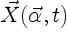 $\vec{X}(\vec{\alpha},t)$