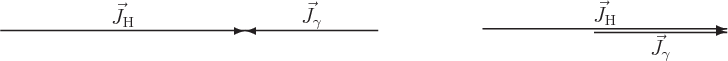 \begin{figure}\centering
\setlength{\unitlength}{1pt}
\begin{picture}(404,35...
...$}}
\put(367,-2){\makebox(0,0)[t]{$\vec J_\gamma$}}
\end{picture}
\end{figure}