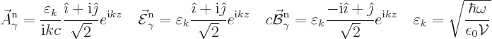 \begin{displaymath}
\skew3\vec A_\gamma^{\rm n}= \frac{\varepsilon_k}{{\rm i}kc...
...arepsilon_k
= \sqrt{\frac{\hbar\omega}{\epsilon_0{\cal V}}} %
\end{displaymath}