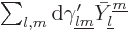 $\sum_{l,m}{\rm d}\gamma'_{{\underline l}{\underline m}}\bar{Y}_{\underline l}^{\underline m}$