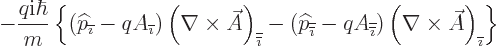 \begin{displaymath}
- \frac{q{\rm i}\hbar}{m}
\left\{
({\widehat p}_{\overlin...
...(\nabla\times\skew3\vec A\right)_{\overline{\imath}}
\right\}
\end{displaymath}