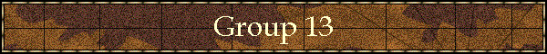 Group 13