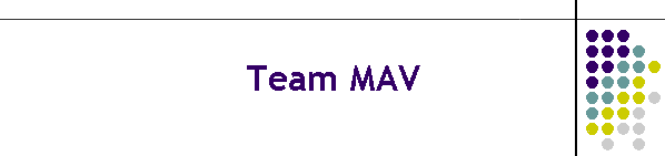 Team MAV