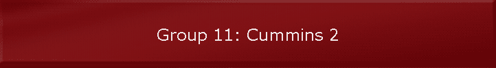 Group 11: Cummins 2