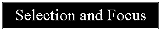 Text Box: Selection and Focus