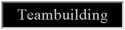Text Box: Teambuilding