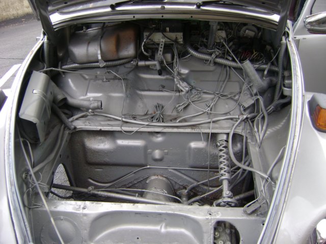 trunk.jpg