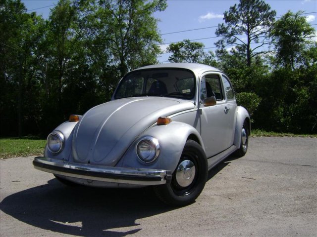 bugpictures037.jpg