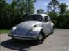 bugpictures037_small.jpg