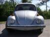 bugpictures038_small.jpg