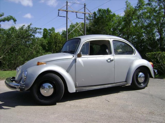 bugpictures039.jpg