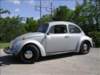 bugpictures039_small.jpg