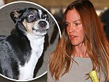 Hilary Swank arrives in LA with her dog at LAX.\nPictured: Hilary Swank\nRef: SPL870737  201014  \nPicture by: Vladimir Labissiere/Splash News\n\nSplash News and Pictures\nLos Angeles: 310-821-2666\nNew York: 212-619-2666\nLondon: 870-934-2666\nphotodesk@splashnews.com\n
