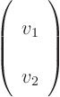 \begin{displaymath}
\left(
\begin{array}{l}
v_1 \\
v_2
\end{array}
\right)
\end{displaymath}