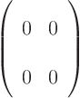 \begin{displaymath}
\left(
\begin{array}{ll}
0 & 0 \\
0 & 0
\end{array}
\right)
\end{displaymath}