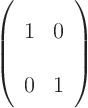 \begin{displaymath}
\left(
\begin{array}{ll}
1 & 0 \\
0 & 1
\end{array}
\right)
\end{displaymath}