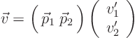 \begin{displaymath}
\vec v
= \Big(  \vec p_1 \; \vec p_2  \Big)
\left( \begin{array}{c} v_1'  v_2' \end{array} \right)
\end{displaymath}