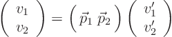 \begin{displaymath}
\left( \begin{array}{c} v_1  v_2 \end{array} \right)
=...
...g)
\left( \begin{array}{c} v_1'  v_2' \end{array} \right)
\end{displaymath}