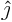 ${\hat\jmath}$