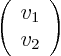 \begin{displaymath}
\left(
\begin{array}{l}
v_1 \\
v_2
\end{array}
\right)
\end{displaymath}