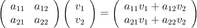 \begin{displaymath}
\left(
\begin{array}{ll}
a_{11} & a_{12} \\
a_{21} ...
...2} v_2 \\
a_{21} v_1 + a_{22} v_2
\end{array}
\right)
\end{displaymath}