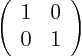\begin{displaymath}
\left(
\begin{array}{ll}
1 & 0 \\
0 & 1
\end{array}
\right)
\end{displaymath}
