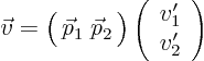 \begin{displaymath}
\vec v
= \Big(  \vec p_1 \; \vec p_2  \Big)
\left( \begin{array}{c} v_1'  v_2' \end{array} \right)
\end{displaymath}