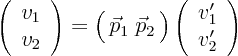 \begin{displaymath}
\left( \begin{array}{c} v_1  v_2 \end{array} \right)
=...
...)
\left( \begin{array}{c} v_1'  v_2' \end{array} \right)
\end{displaymath}