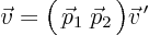 \begin{displaymath}
\vec v
= \Big(  \vec p_1 \; \vec p_2  \Big)
\vec v^{ \prime}
\end{displaymath}