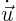 $\dot{\vec u}$