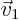 $\vec v_1$