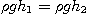 \begin{displaymath}
\rho g h_1 = \rho g h_2
\end{displaymath}