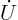 $\dot{U}$