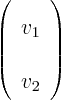 \begin{displaymath}
\left(
\begin{array}{l}
v_1 \\
v_2
\end{array}
\right)
\end{displaymath}