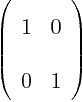 \begin{displaymath}
\left(
\begin{array}{ll}
1 & 0 \\
0 & 1
\end{array}
\right)
\end{displaymath}