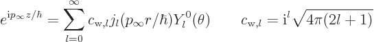 \begin{displaymath}
e^{{\rm i}p_\infty z/\hbar}
= \sum_{l=0}^\infty c_{{\rm {w...
...\theta)
\qquad
c_{{\rm {w}},l} = {\rm i}^l \sqrt{4\pi(2l+1)}
\end{displaymath}