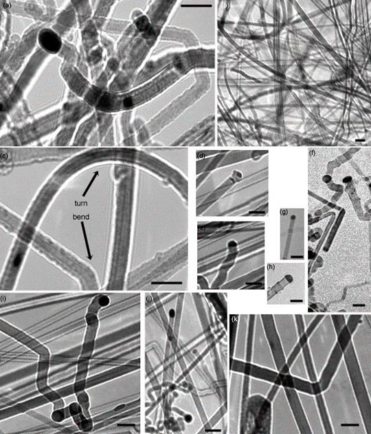 new TEM collage copy.gif