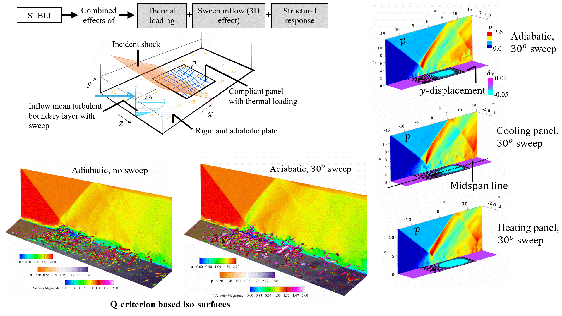 High Speed Aeroelasticity STBLI visualization