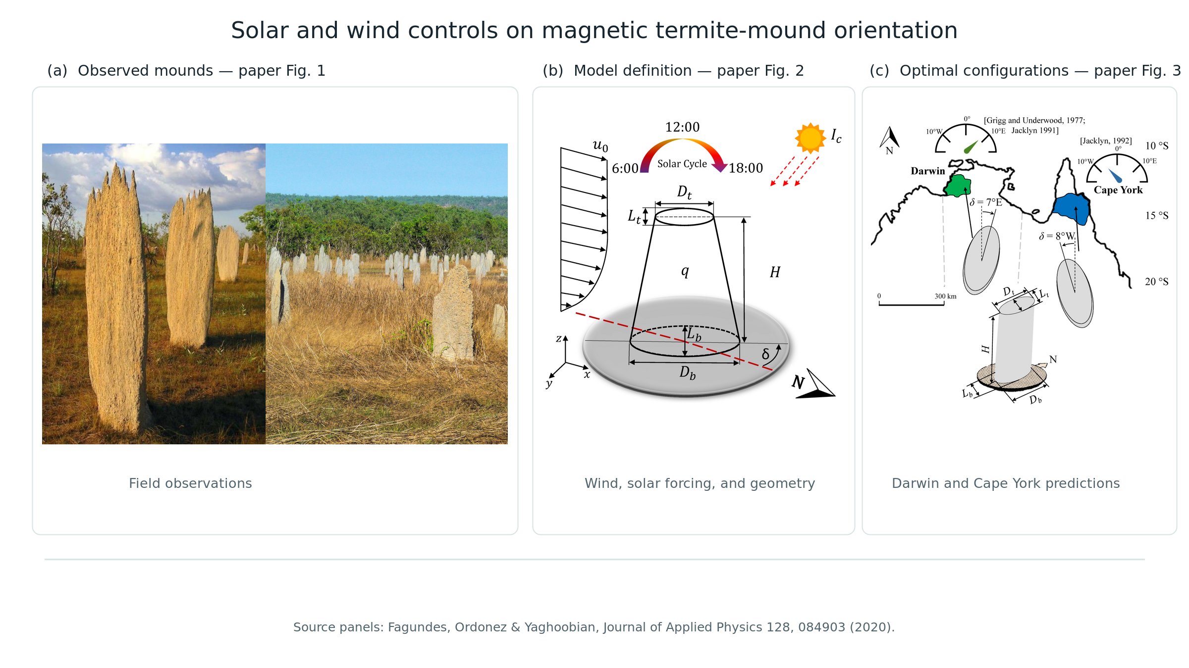 Observed Australian magnetic termite mounds, the paper's heat-transfer model definition, and predicted optimal mound configurations for Darwin and Cape York