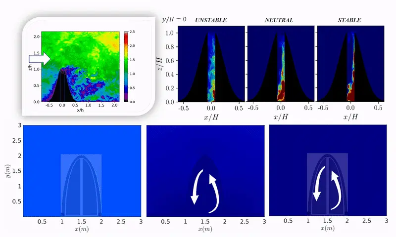 Animated thermo-fluid simulation of a natural bio-inspired structure