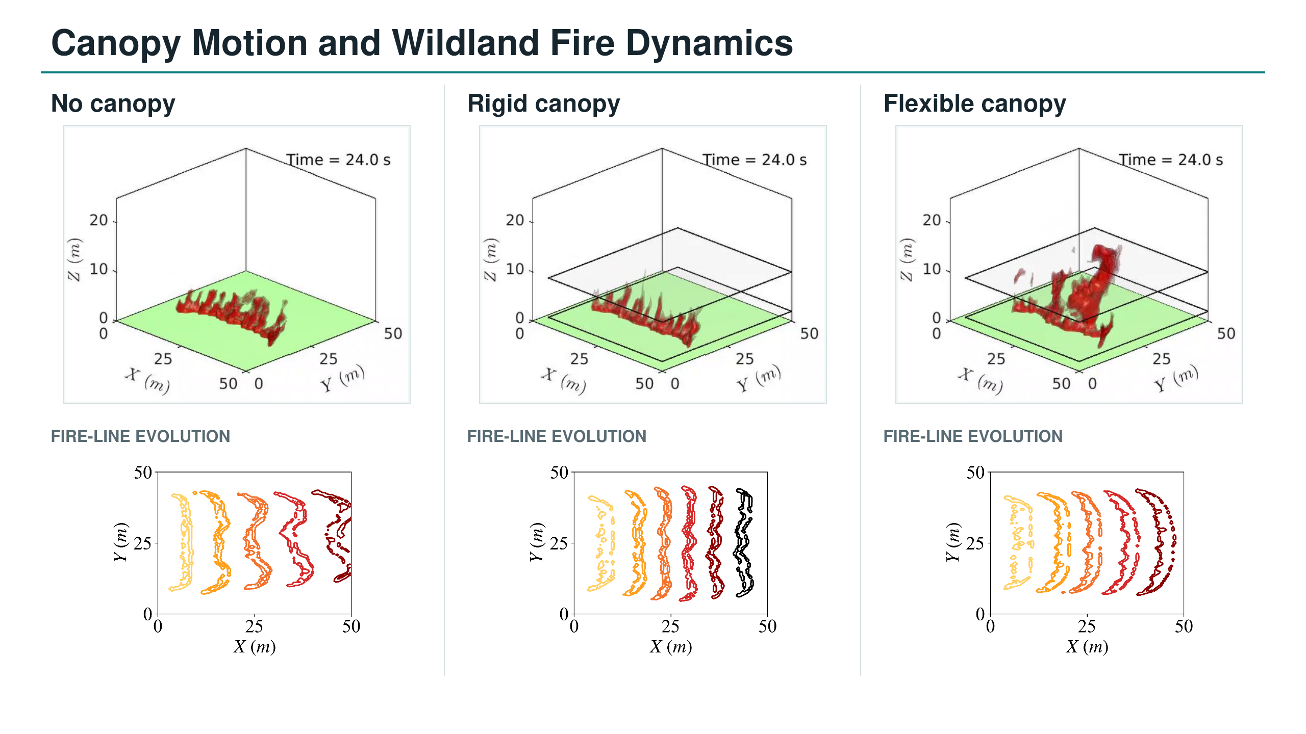 Canopy-motion comparison with no-canopy, rigid-canopy, and flexible-canopy cases and their corresponding fire-line evolution plots