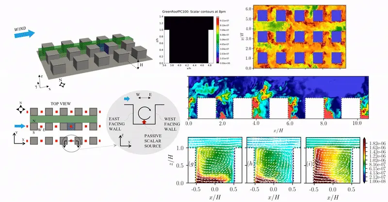 Animated flow and scalar concentration fields over complex terrain