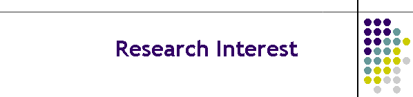 Research Interest