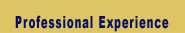 Professional Experience