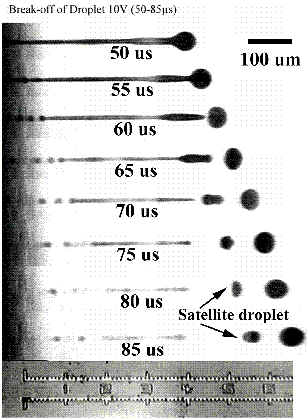 wpe14.jpg (21085 bytes)