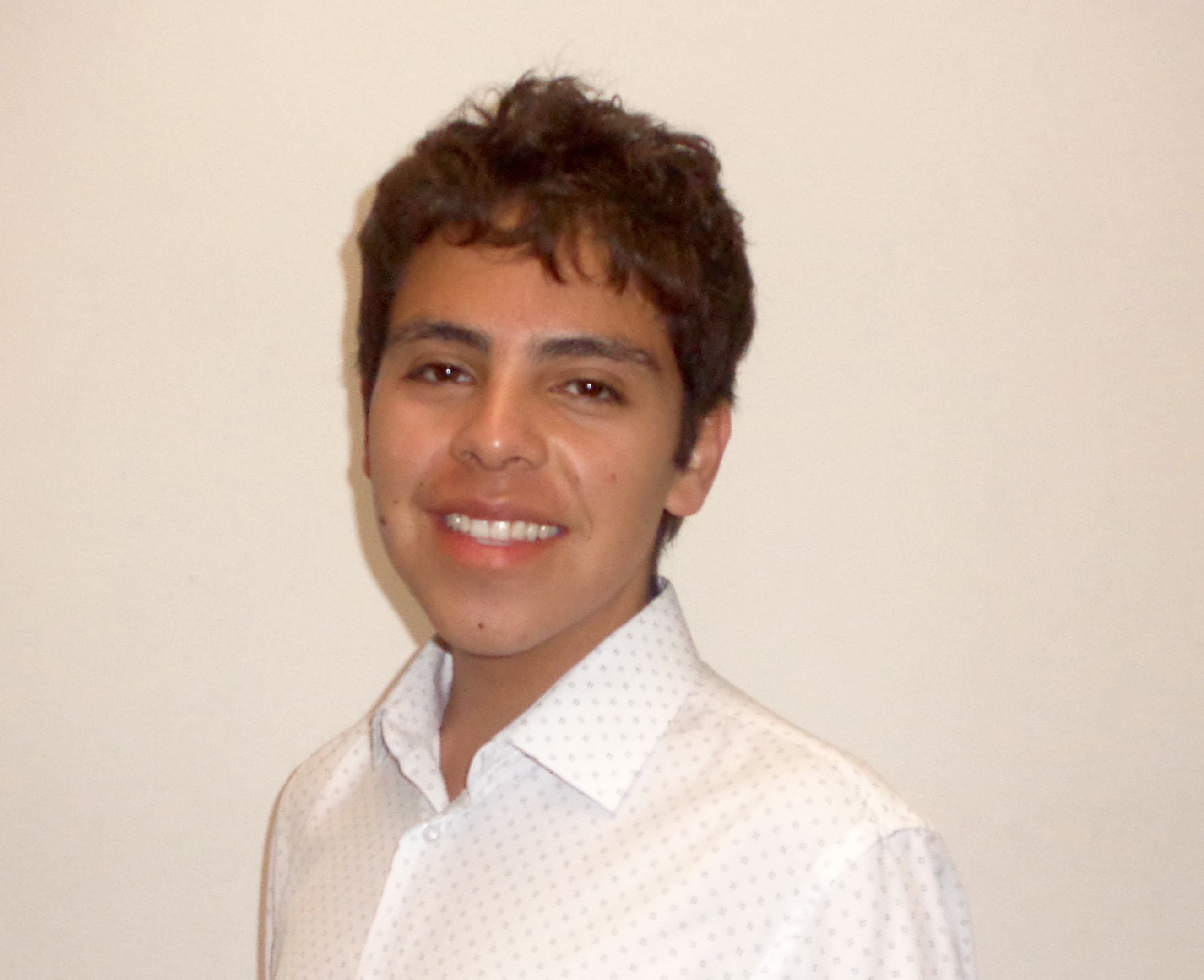 Diego Castelan Borjas