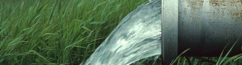 Water pipe