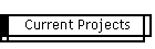 Current Projects